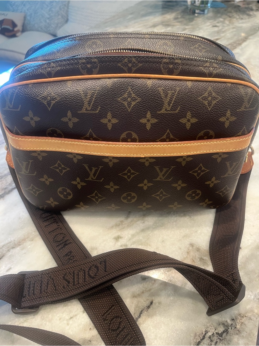 LOUIS VUITTON Reporter PM Shoulder Bag